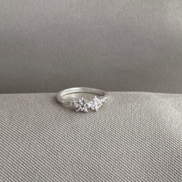 ANEL FALANGE ZIRCONIAS