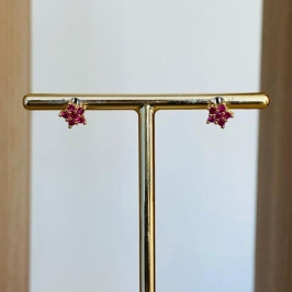 BRINCO FLORZINHA CRAVEJADA