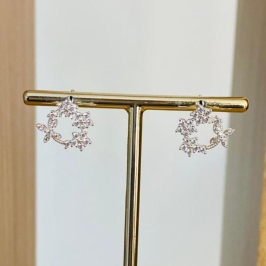 BRINCO REDONDO CRAVEJADO BORBOLETA E FLORES