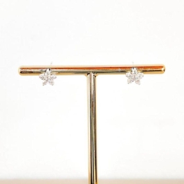 BRINCO FLORZINHA CRAVEJADA