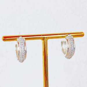 BRINCO ARGOLA CRAVEJADA