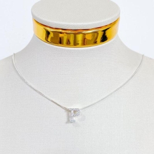 COLAR INICIAL P CRAVEJADA